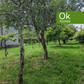CHALET VENTA - COIROS - AA/733 - 310