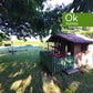 CASA V - LUGO (Outeiro Rei) - AA/649 - 440