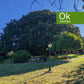 CASA V - LUGO (Outeiro Rei) - AA/649 - 440