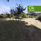 OLEIROS (Mera) - CASA VENTA - REF: AA/977 - 250