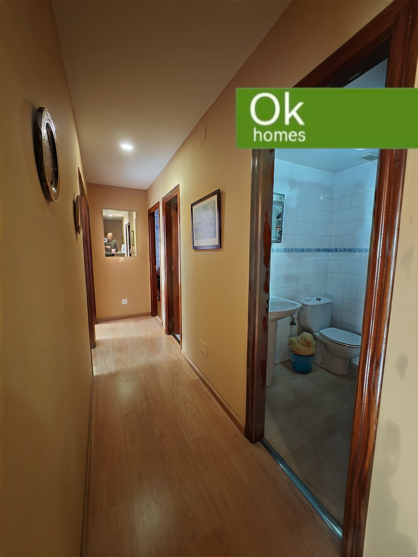 ARTEIXO - OSEIRO - PISO - VENTA - REF: AA/486 - 155