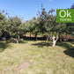 OLEIROS (Mera) - CASA VENTA - REF: AA/977 - 250