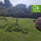 CHALET VENTA - OLEIROS - AA/600 - 790