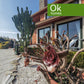 CHALET VENTA - OLEIROS - AA/061 - 649
