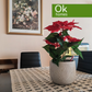 ARTEIXO - OSEIRO - PISO - VENTA - REF: AA/486 - 155
