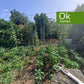 CHALET - VENTA - OLEIROS - AA/667M - 740